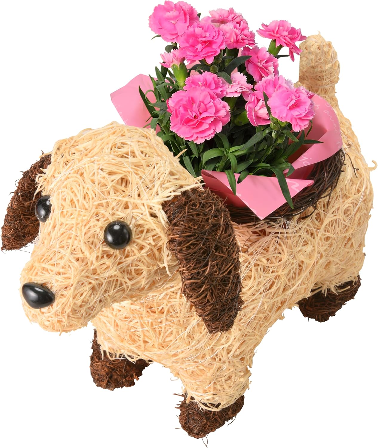 ����� �� ȭ���� �����͡������ �ץ쥼��� ��ȭ ��������ե� ������Υץ쥼���