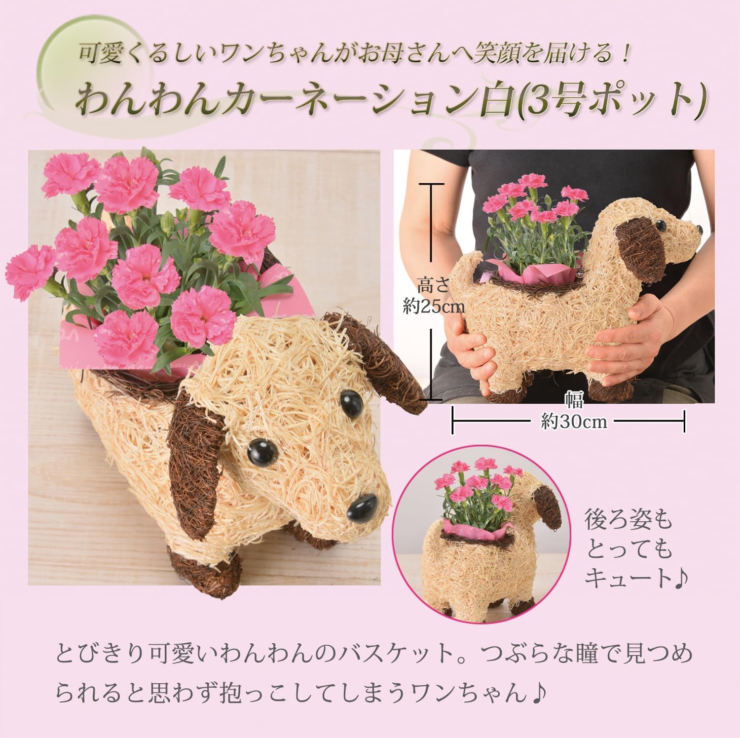 ����� �� ȭ���� �����͡������ �ץ쥼��� ��ȭ ��������ե� ������Υץ쥼���