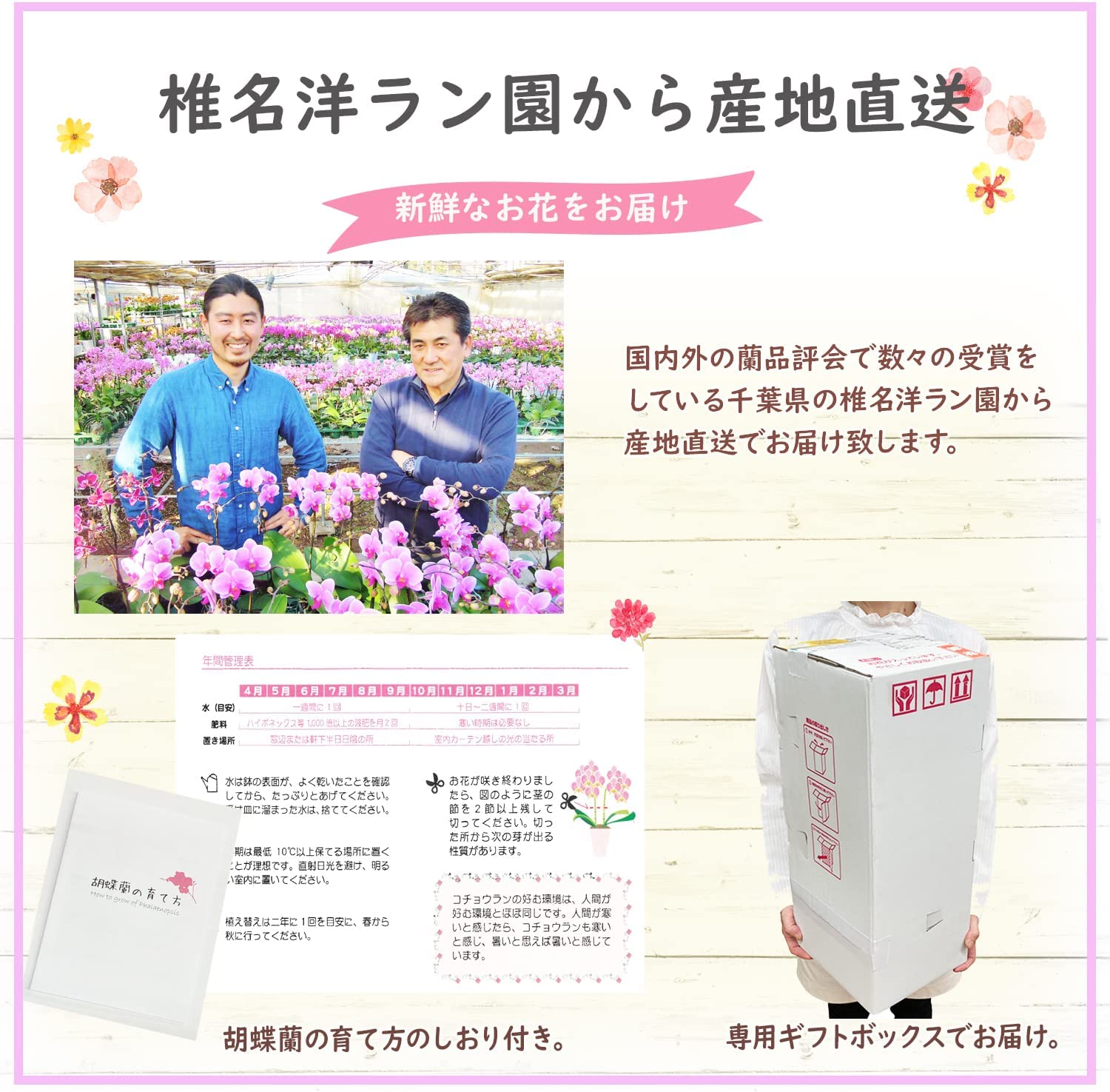 ��̾�Υ�� ��ĳ�� �ߥǥ���ĳ�� ����ľ�� ��̾������ ���� ������ �ץ쥼��� 1��