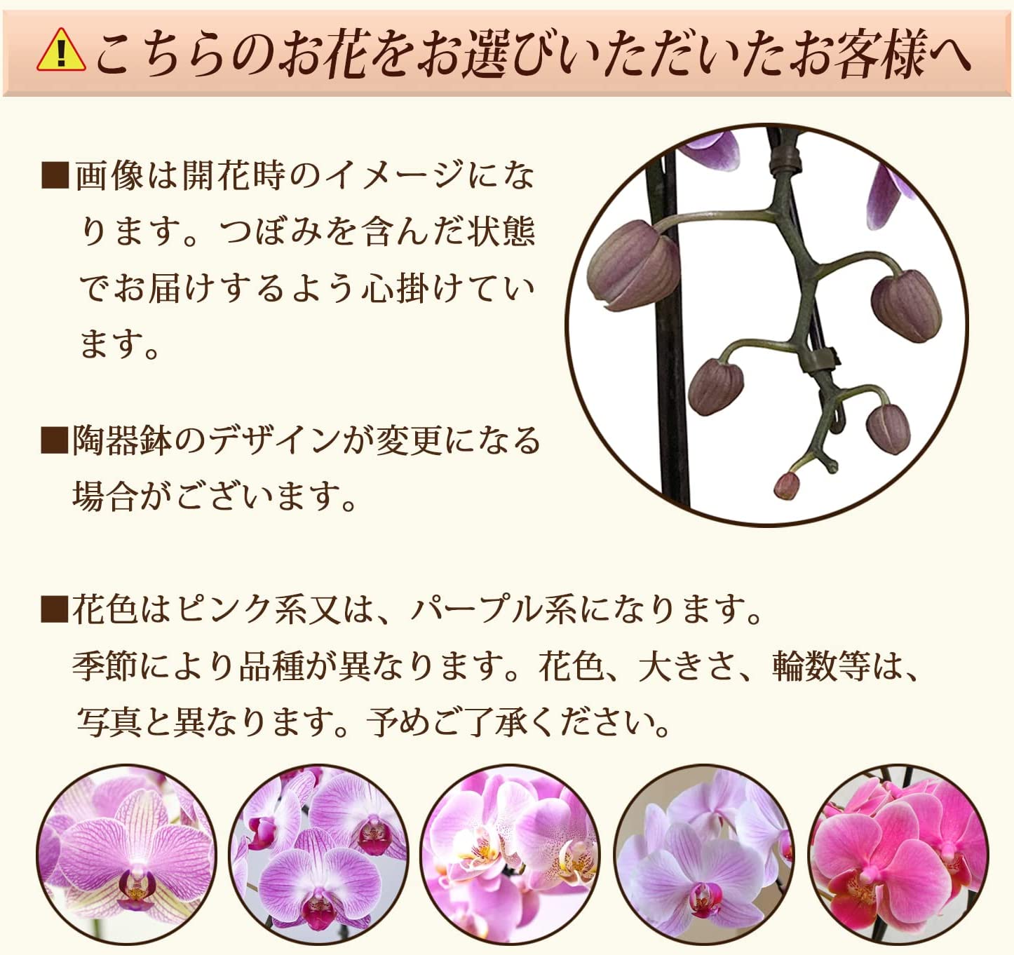 ��̾�Υ�� ��ĳ�� �ߥǥ���ĳ�� ����ľ�� ��̾������ ���� ������ �ץ쥼��� 1��