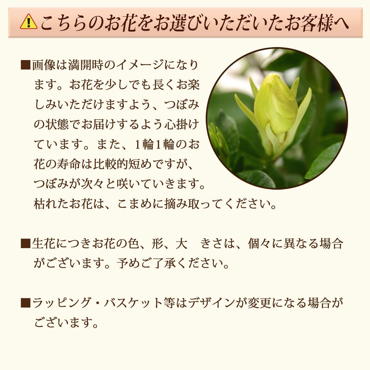 ����� �� ȭ���� �����ǥ˥� �����ʤ� �ץ쥼��� ��������ե� ������Υץ쥼���