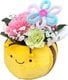 �ߤĤФ� ����󥸥��� ��ʪ �ڲ� �ץ쥼��� �� ���ե� ���� ����� ����