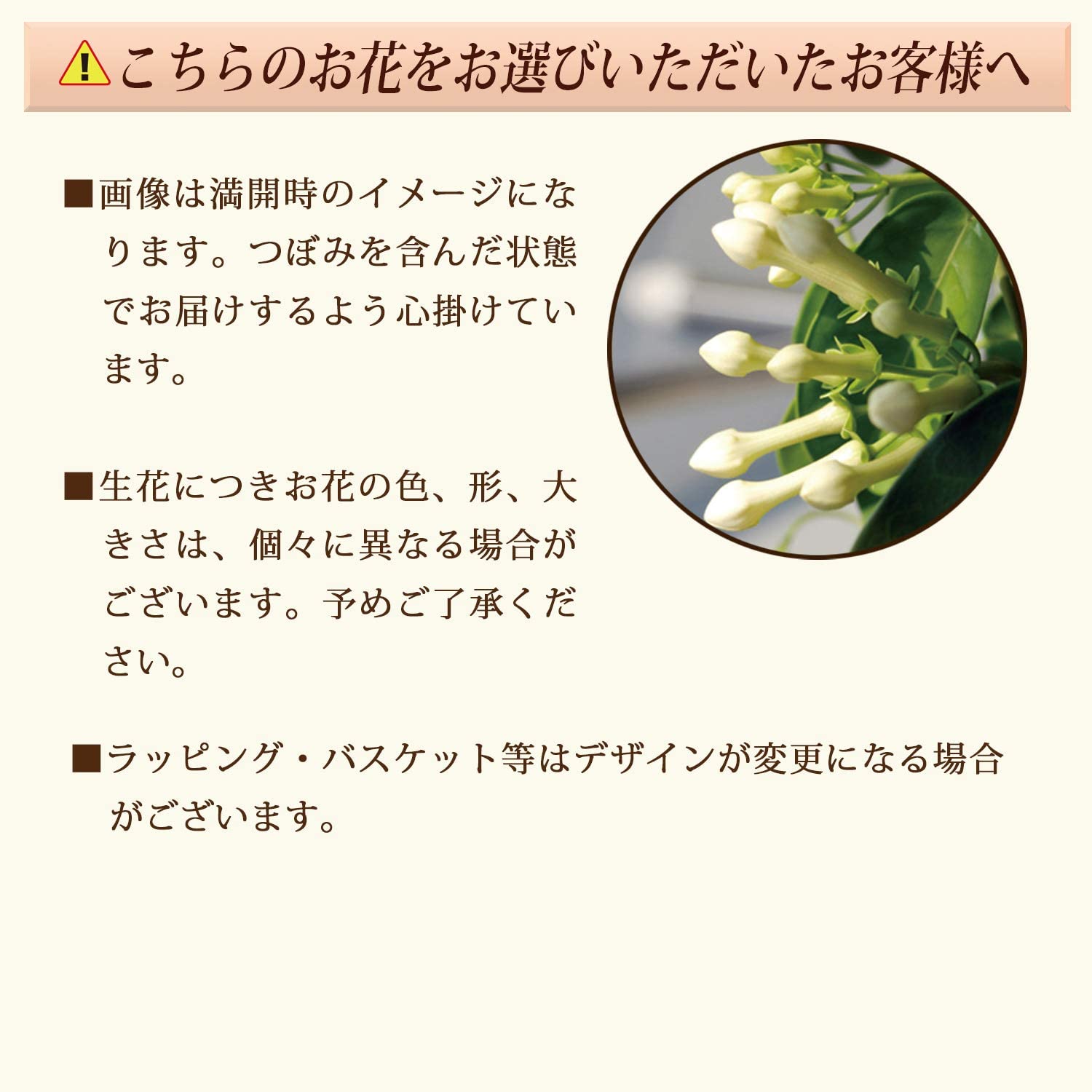 ����� �� ȭ���� �ޥ��������른�㥹�ߥ� �ץ쥼��� ��ȭ ���� ������Υץ쥼���