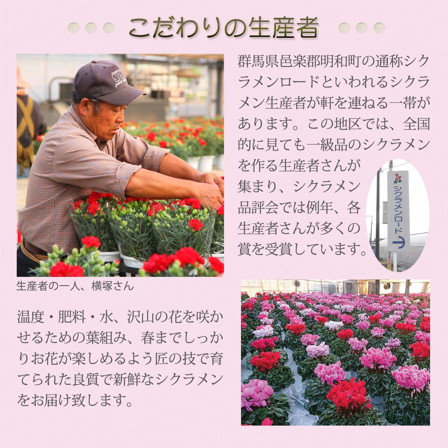 �������� ���ե� �ץ쥼��� �� ȭ���� ȭ�� ������ 6��ȭ �� �ɥ꡼��磻��