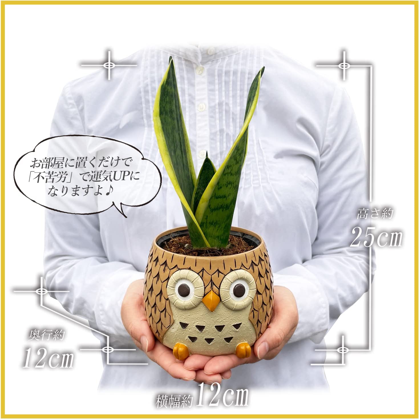 �դ����� ��ʪ ���󥹥٥ꥢ ���տ�ʪ ��ʪ ���󥻥٥ꥢ ���� �ߥ˴��տ�ʪ �פ���
