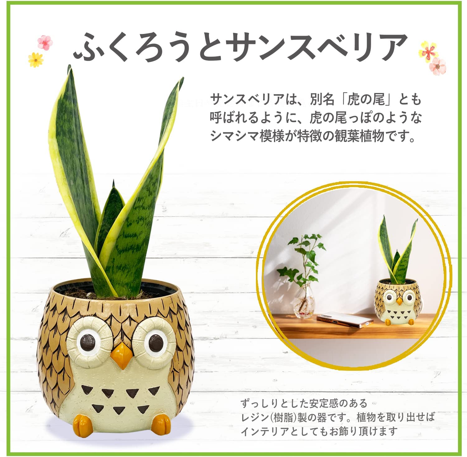 �դ����� ��ʪ ���󥹥٥ꥢ ���տ�ʪ ��ʪ ���󥻥٥ꥢ ���� �ߥ˴��տ�ʪ �פ���