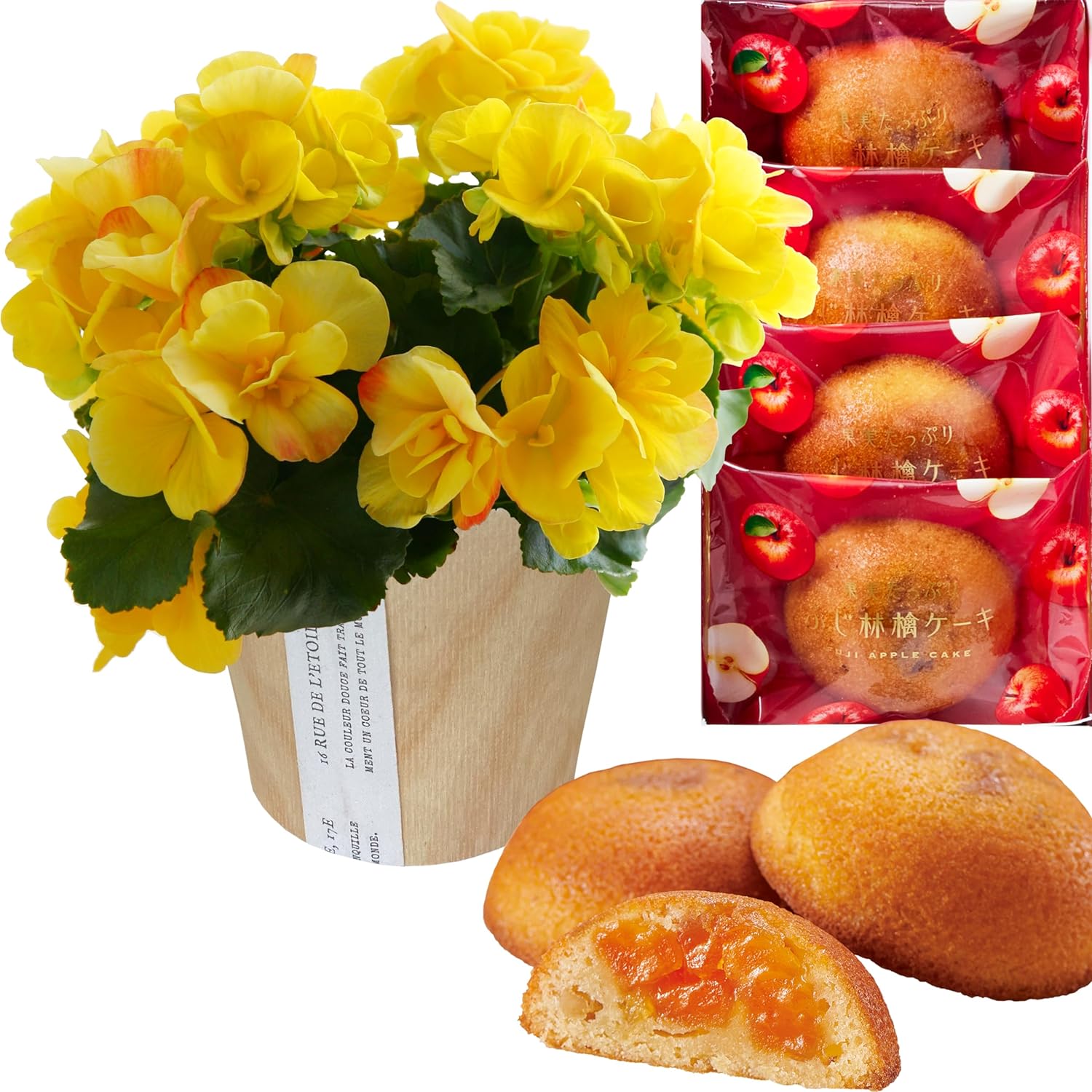 �꡼������ �� ���ե� ������ �ץ쥼��� ȭ���� ȭ�� ���ۻ� �꡼�������٥��˥�