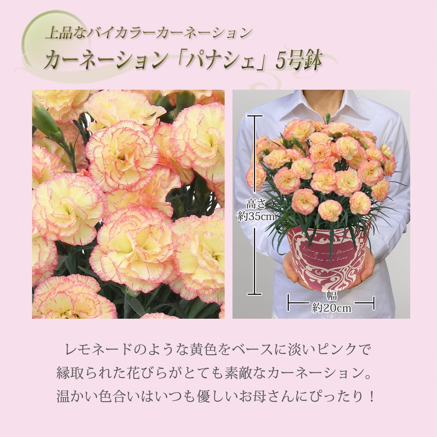 ����� �����͡������ �ץ쥼��� �� ���ե� ȭ���� ȭ ȭ�� ��ȭ �ե����ե�