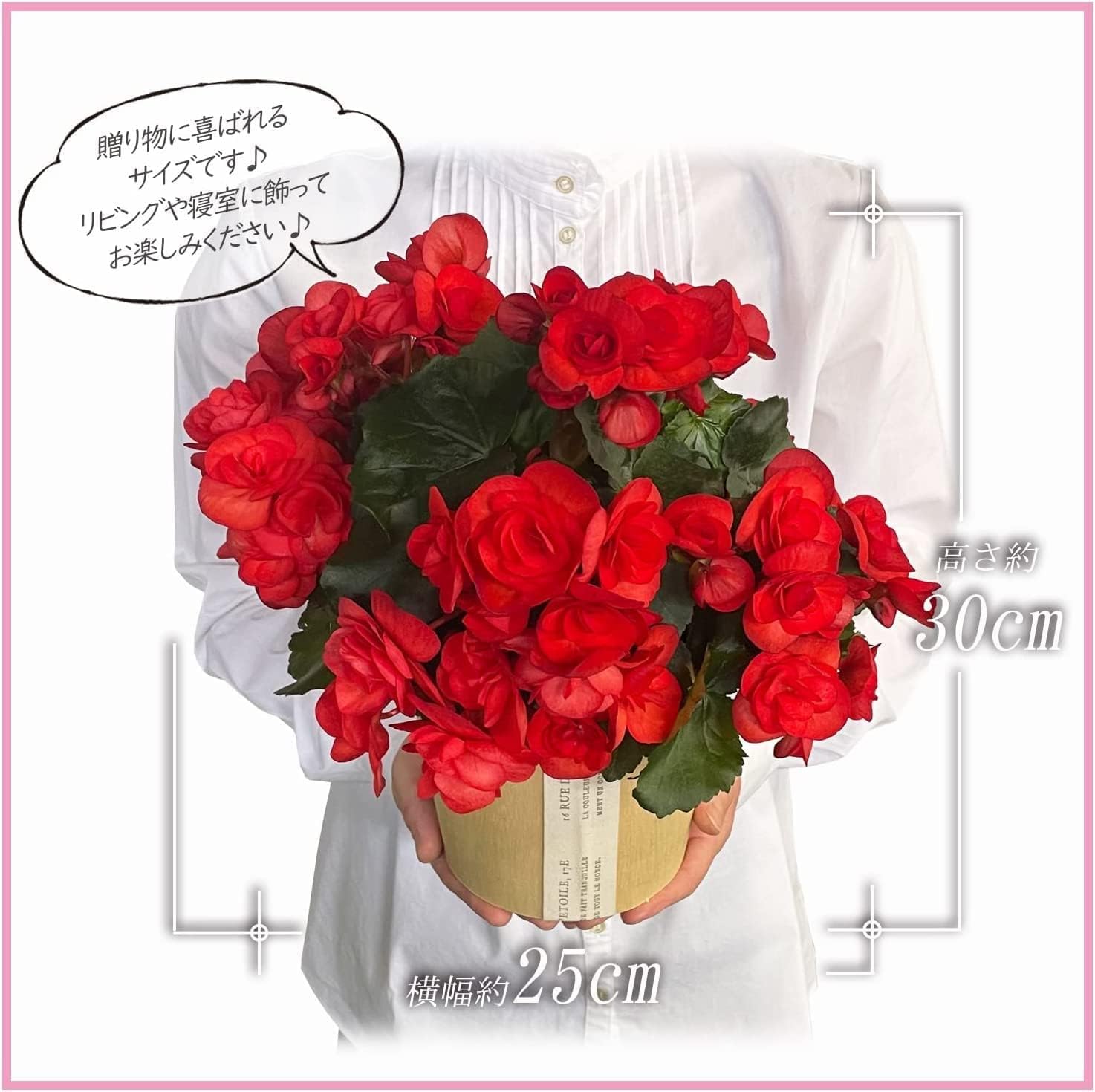 �꡼������ �� ���ե� ������ �ץ쥼��� ȭ���� ȭ�� ���ۻ� �꡼�������٥��˥�