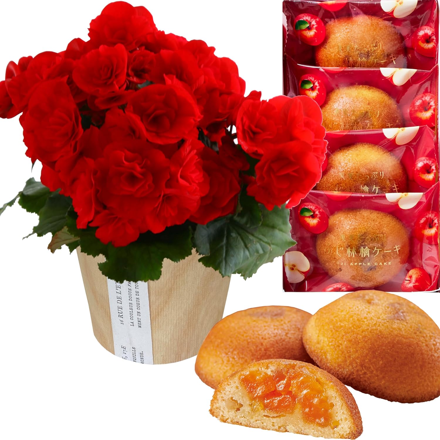 �꡼������ �� ���ե� ������ �ץ쥼��� ȭ���� ȭ�� ���ۻ� �꡼�������٥��˥�