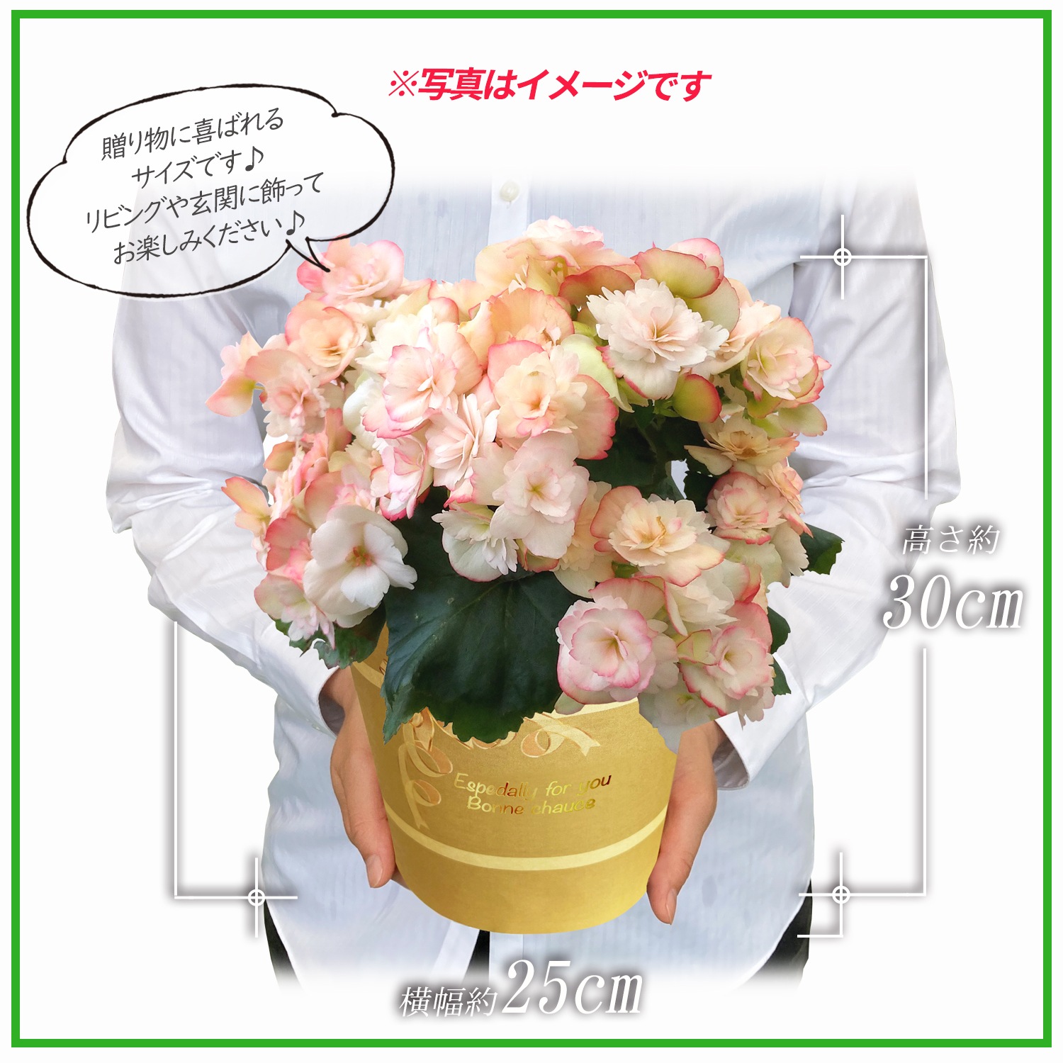 �꡼������ �� �꡼�������٥��˥��֤ȥ������� ȭ�� �ԥ� ������ ���� ����