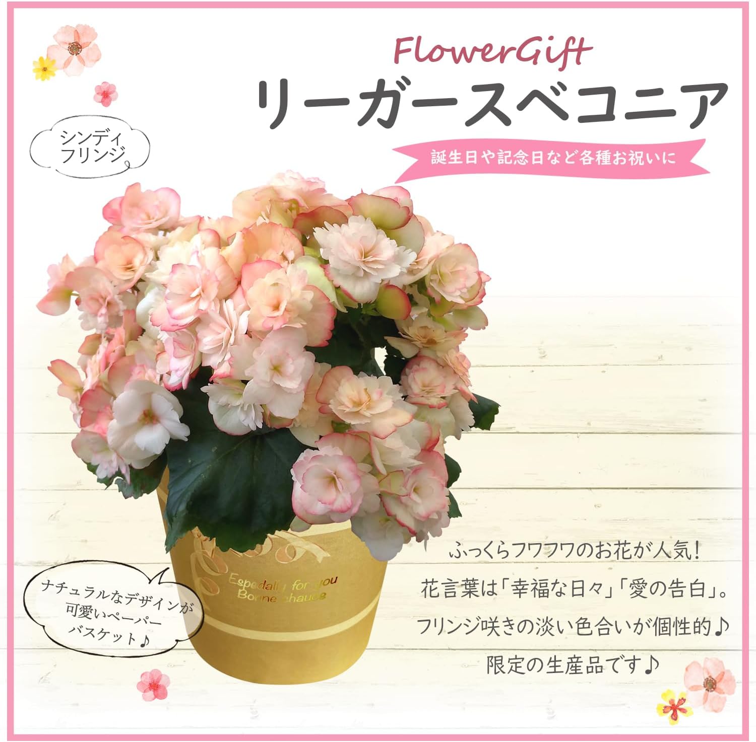 �꡼������ �� �꡼�������٥��˥��֤ȥ������� ȭ�� �ԥ� ������ ���� ����