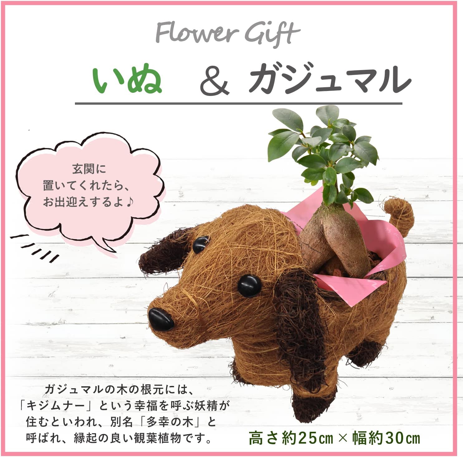 かとうゆみ　犬と小鳥の植木鉢 かとうゆみ 犬と小鳥の植木鉢