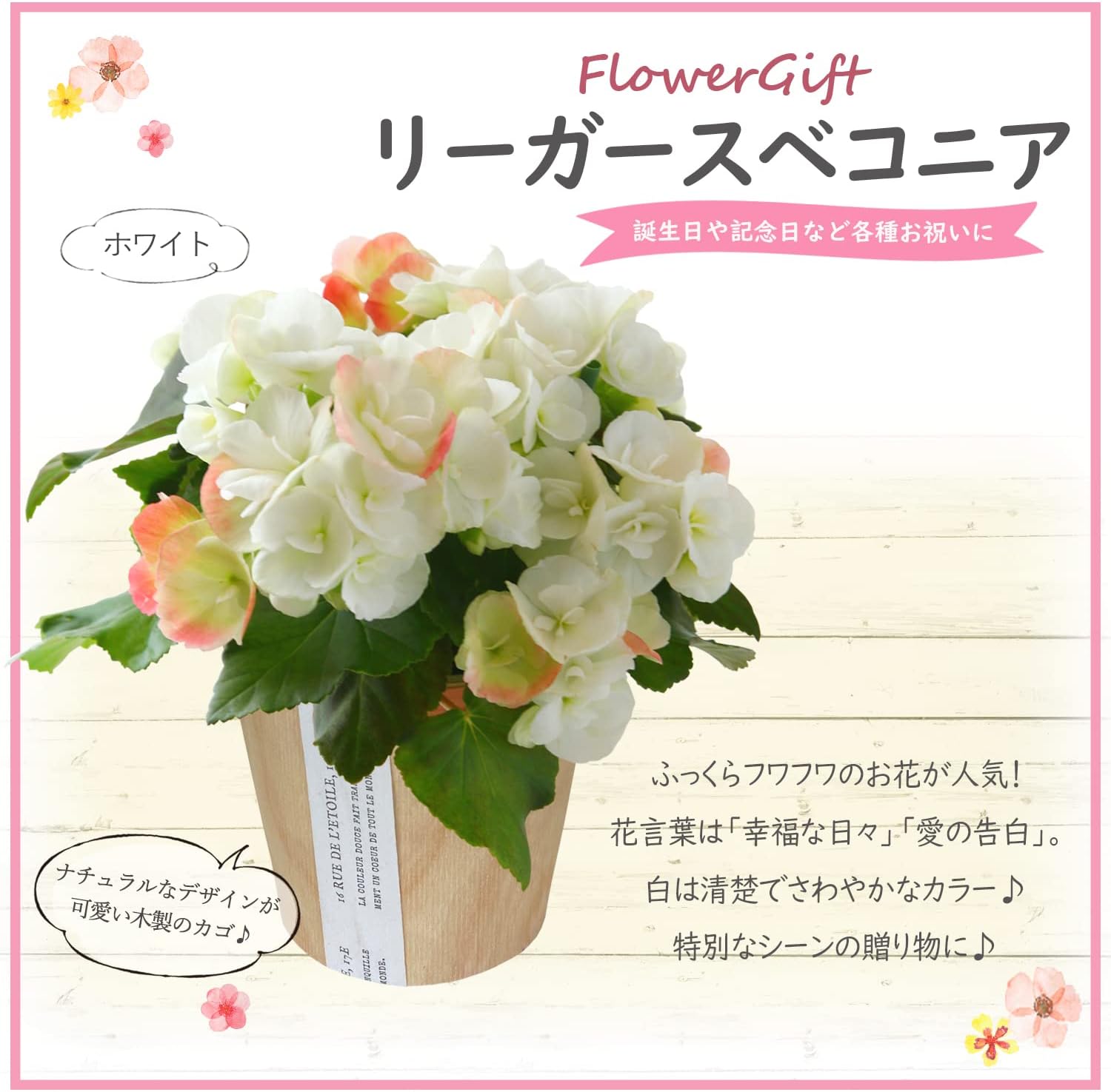 �꡼������ �� ���ե� ������ �ץ쥼��� ȭ���� ȭ�� ���ۻ� �꡼�������٥��˥�