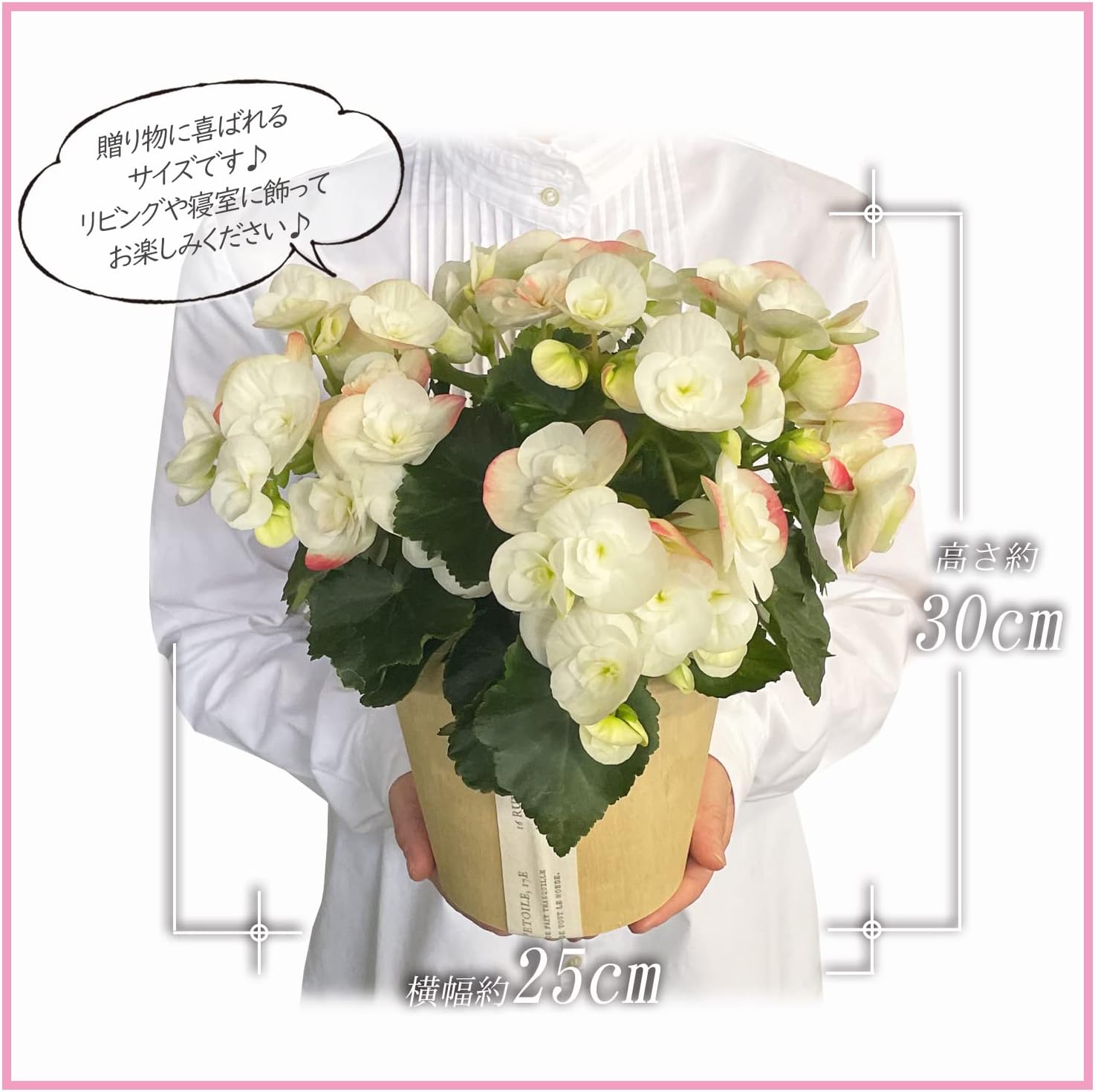 �꡼������ �� ���ե� ������ �ץ쥼��� ȭ���� ȭ�� ���ۻ� �꡼�������٥��˥�