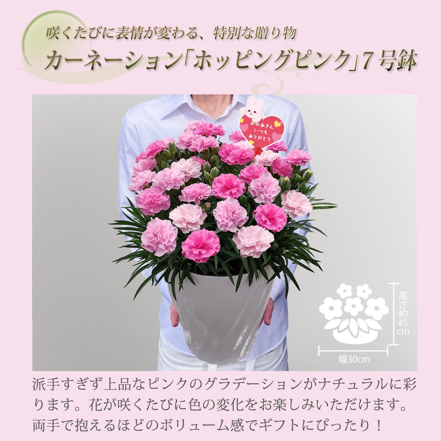 ����� �� ȭ���� �����͡������ �ץ쥼��� ��ȭ ��������ե� ������Υץ쥼���