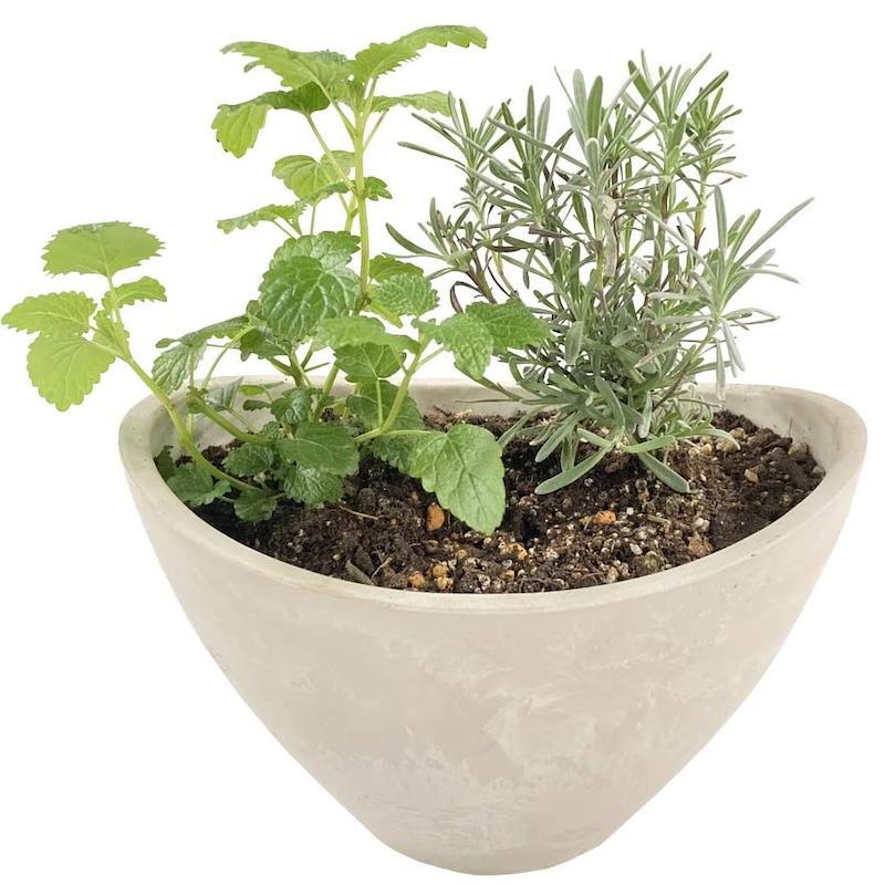 �ϡ��� ����Υƥ����� ���ޤ��� 2�糧�å� ȭ���� 3��ȭ ���� ���å���