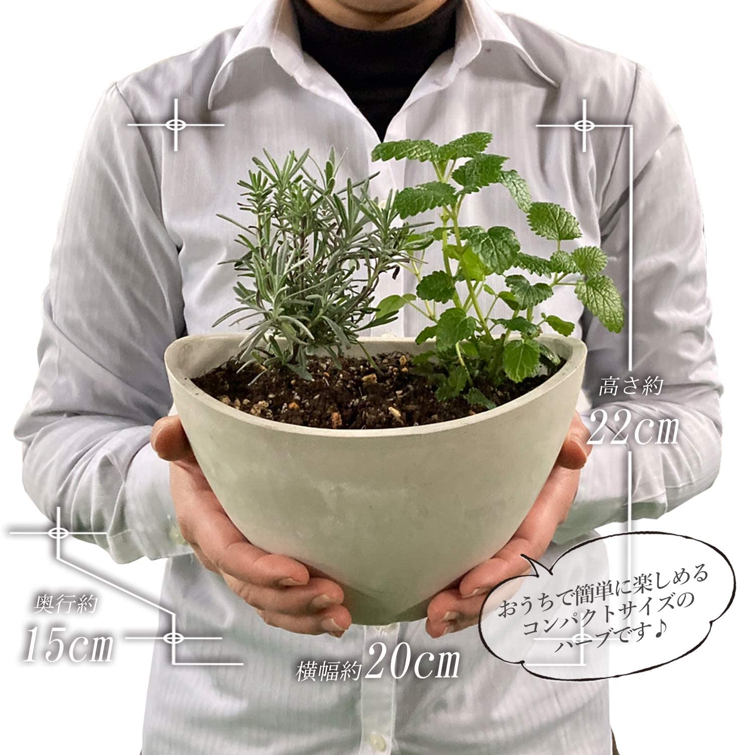 �ϡ��� ����Υƥ����� ���ޤ��� 2�糧�å� ȭ���� 3��ȭ ���� ���å���