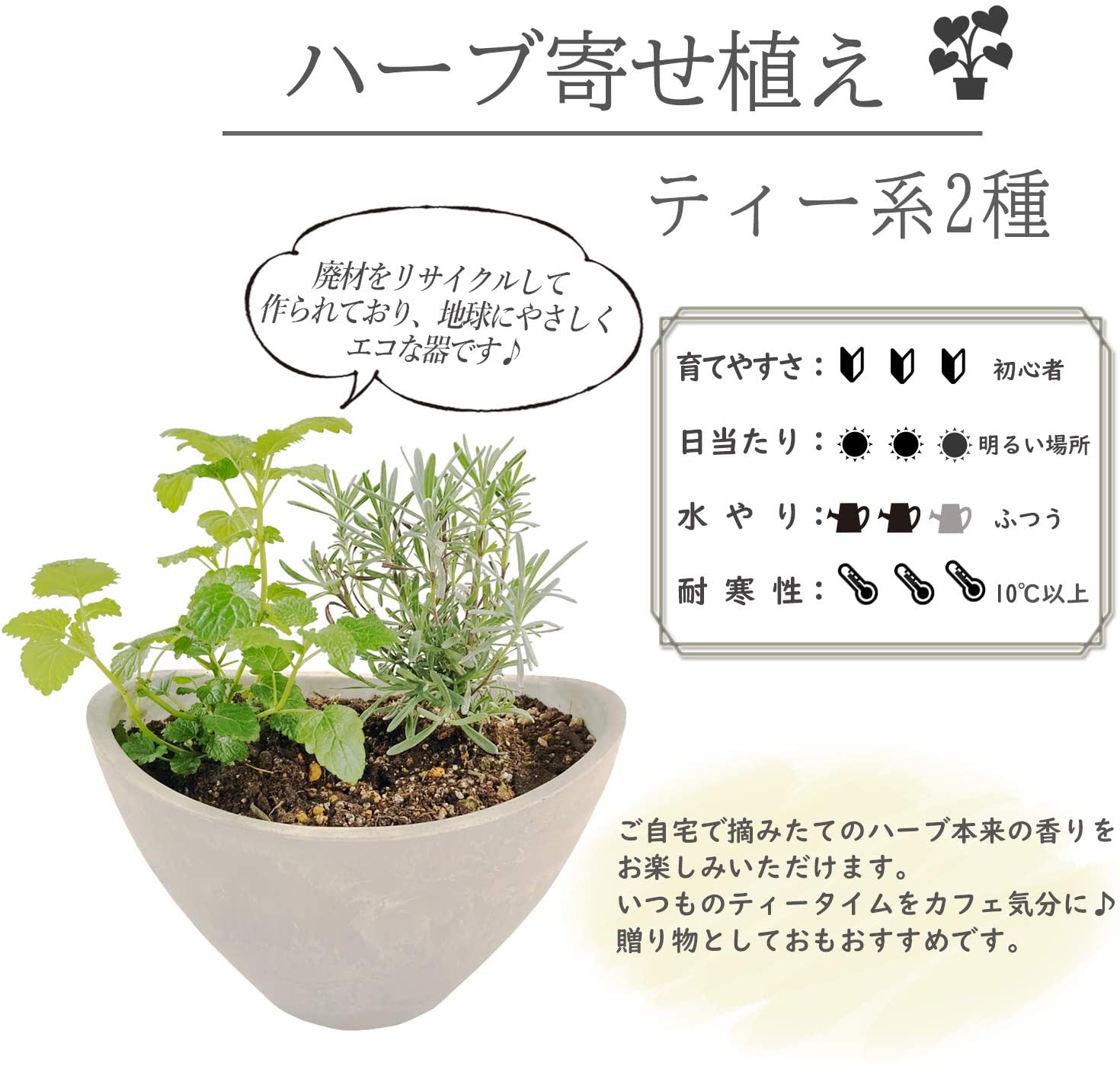 �ϡ��� ����Υƥ����� ���ޤ��� 2�糧�å� ȭ���� 3��ȭ ���� ���å���