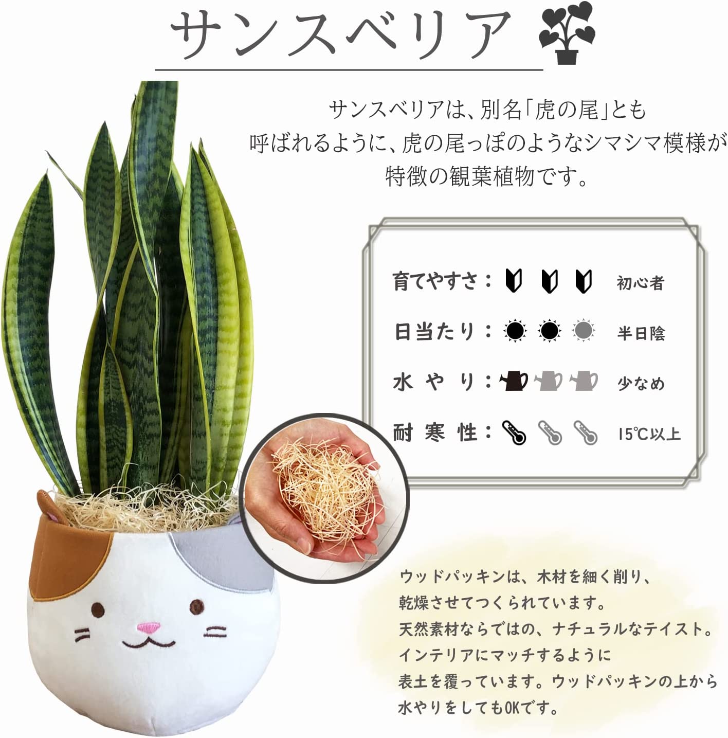 ���󥹥٥ꥢ ���տ�ʪ ��ʪ �ߥ� ���󥻥٥ꥢ ���� ��ʪ �ߥ˴��տ�ʪ �פ���