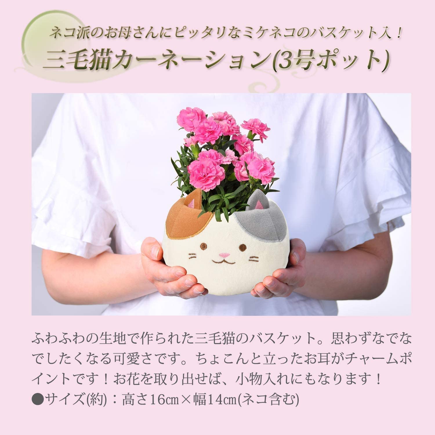 ����� �� ȭ���� �����͡������ �ץ쥼��� ��ȭ ��������ե� ������Υץ쥼���