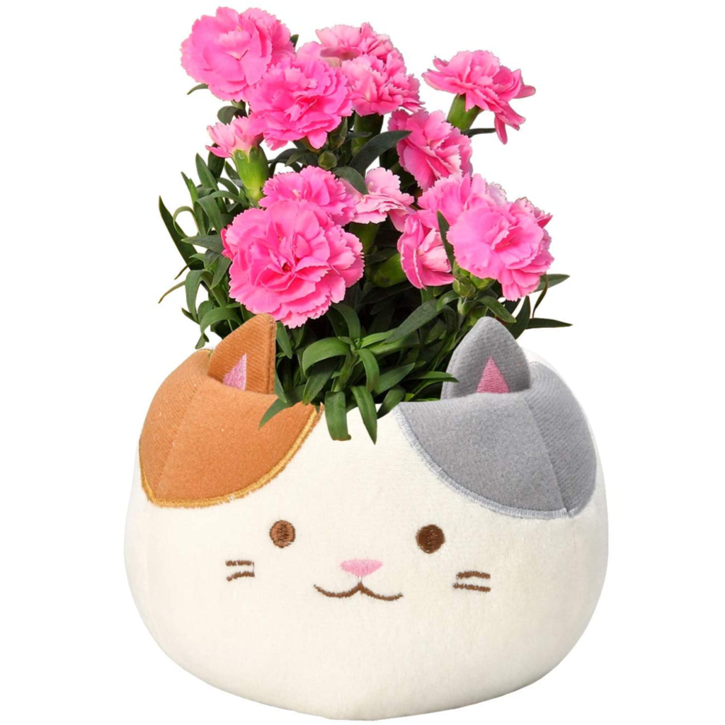 ����� �� ȭ���� �����͡������ �ץ쥼��� ��ȭ ��������ե� ������Υץ쥼���