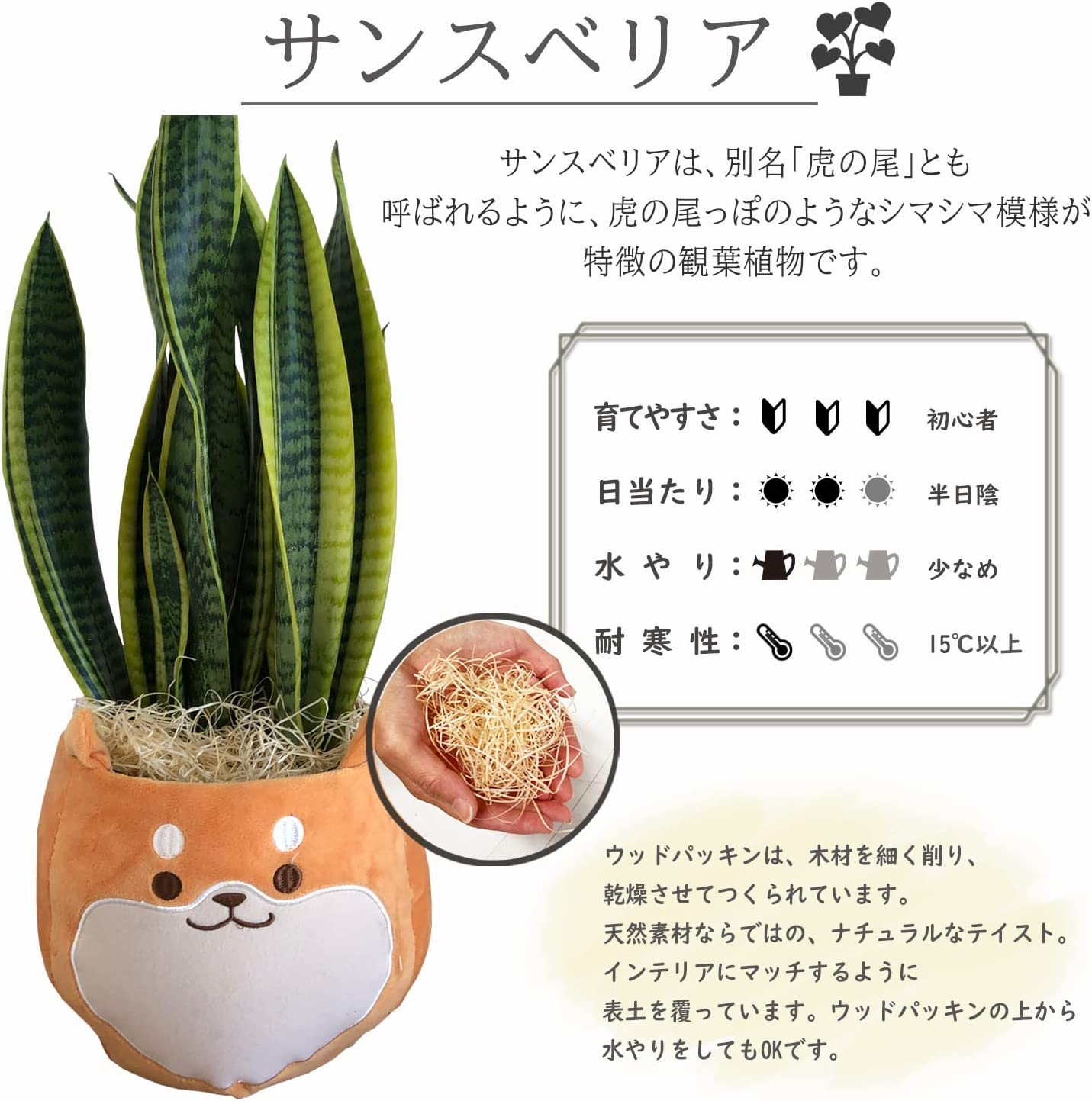���󥹥٥ꥢ ���տ�ʪ ��ʪ �ߥ� ���󥻥٥ꥢ ���� ��ʪ �ߥ˴��տ�ʪ �פ���