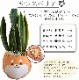 ���󥹥٥ꥢ ���տ�ʪ ��ʪ �ߥ� ���󥻥٥ꥢ ���� ��ʪ �ߥ˴��տ�ʪ �פ���