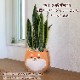 ���󥹥٥ꥢ ���տ�ʪ ��ʪ �ߥ� ���󥻥٥ꥢ ���� ��ʪ �ߥ˴��տ�ʪ �פ���