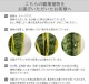���󥹥٥ꥢ ���տ�ʪ ��ʪ �ߥ� ���󥻥٥ꥢ ���� ��ʪ �ߥ˴��տ�ʪ �פ���