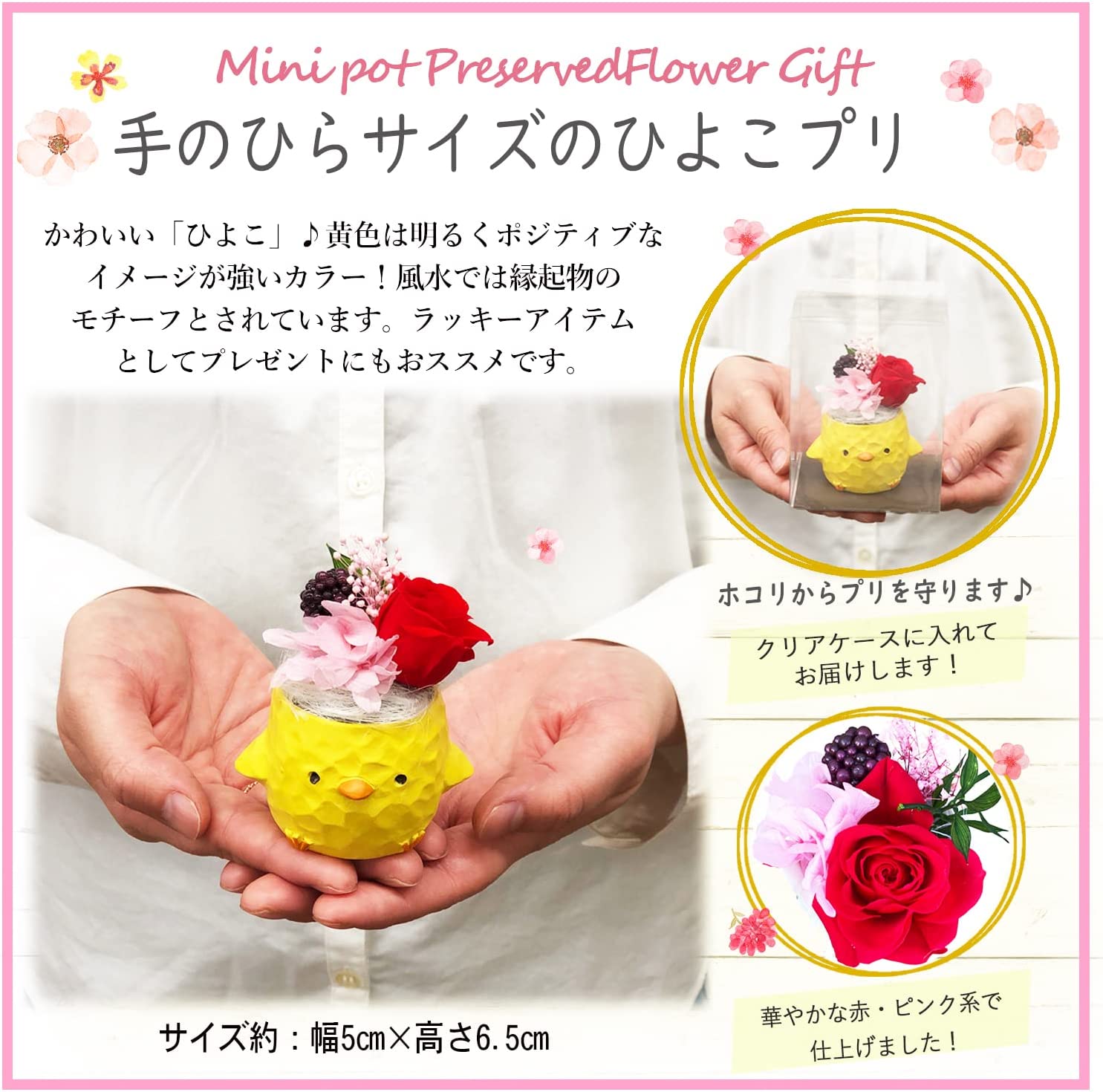 �ץꥶ���֥ɥե� ������ �� �ץ쥼��� ���� ���ۻ� ���襤�� �²ۻ� ���ե�