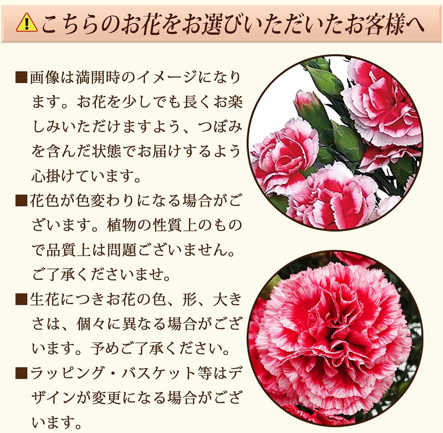 �����͡������ �������ۥ��å� ����� �ץ쥼��� ȭ���� 5��ȭ ��ȭ ȭ�� �����ƥ����դ�