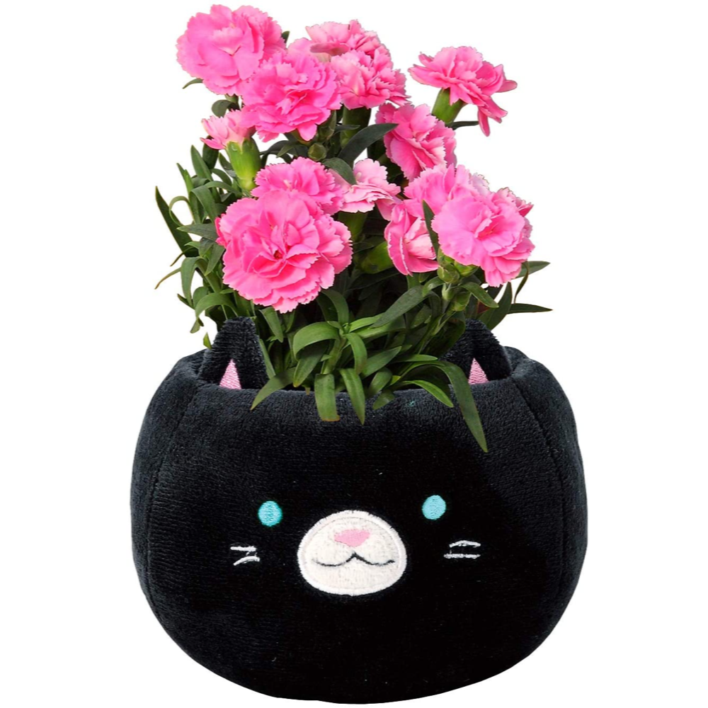 ����� �� ȭ���� �����͡������ �ץ쥼��� ��ȭ ��������ե� ������Υץ쥼���