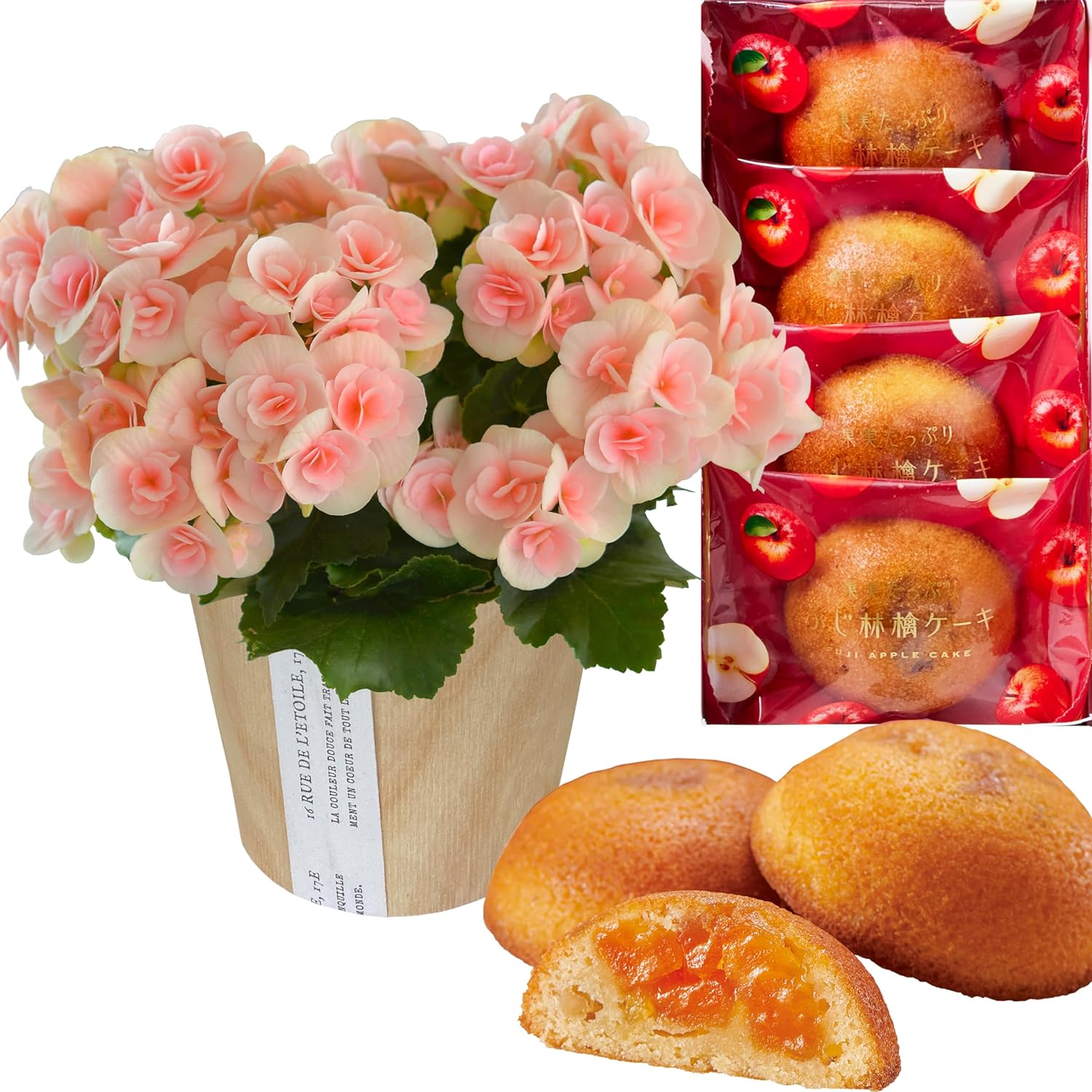 �꡼������ �� ���ե� ������ �ץ쥼��� ȭ���� ȭ�� ���ۻ� �꡼�������٥��˥�