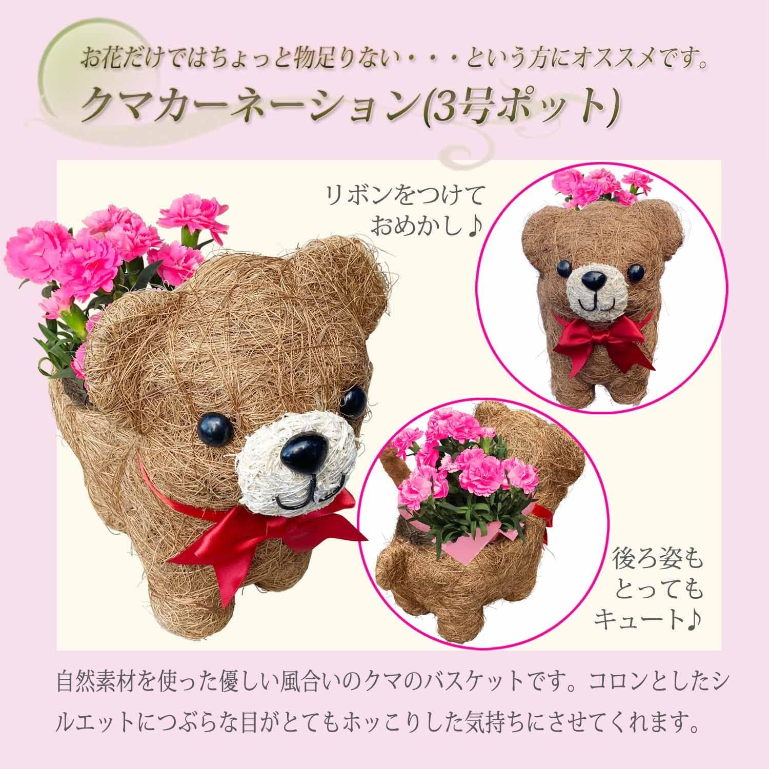 ����� �� ȭ���� �����͡������ �ץ쥼��� ��ȭ ��������ե� ������Υץ쥼���