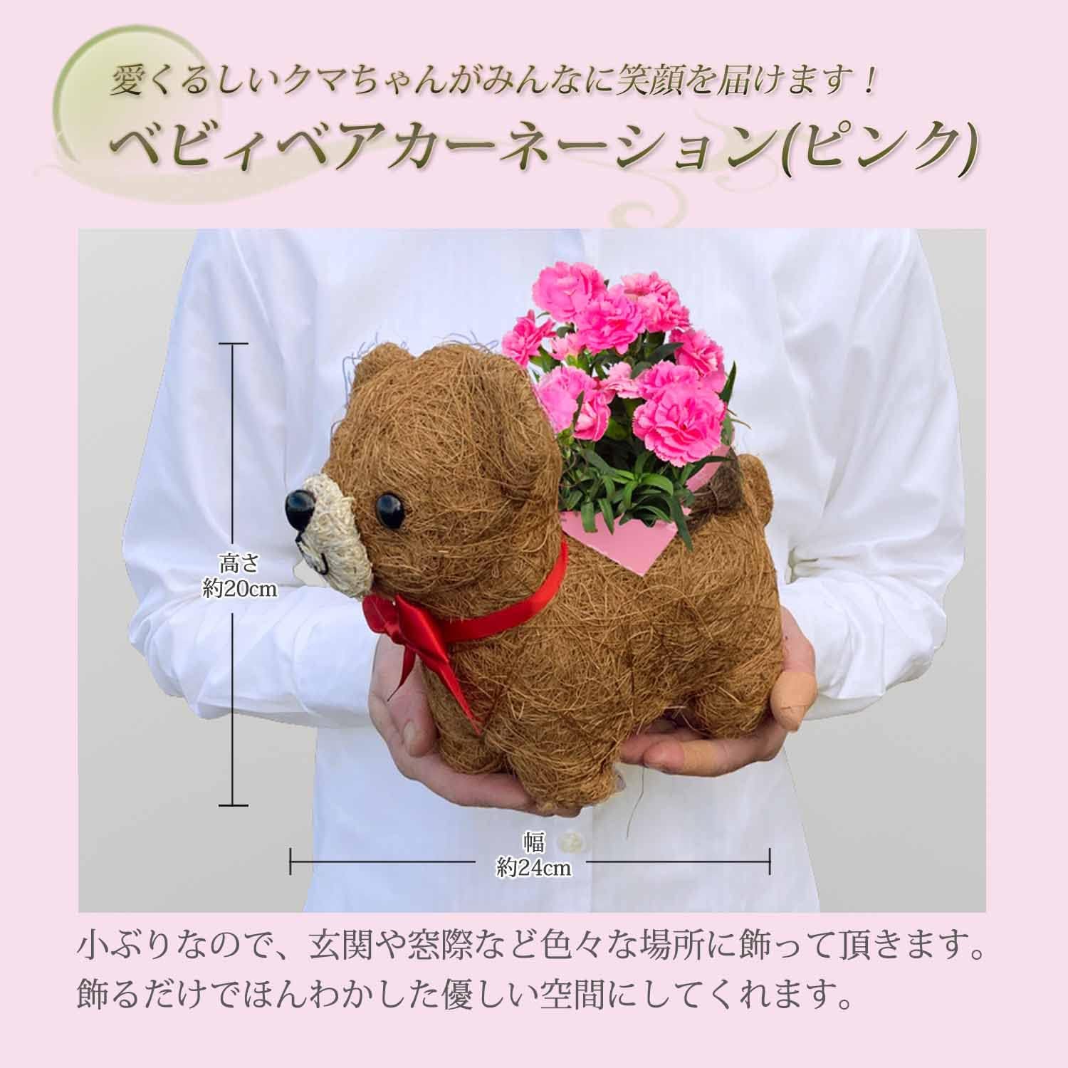 ����� �� ȭ���� �����͡������ �ץ쥼��� ��ȭ ��������ե� ������Υץ쥼���