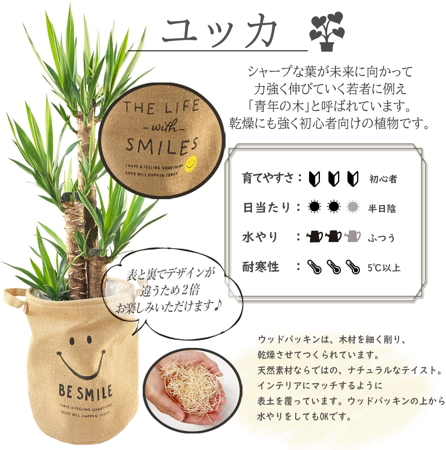 ��ǯ���� ��å� 8��ȭ �ˤ������ ���� ���տ�ʪ ���꡼�� ����ƥꥢ �ץ쥼��� ���۽� ��ǰ��