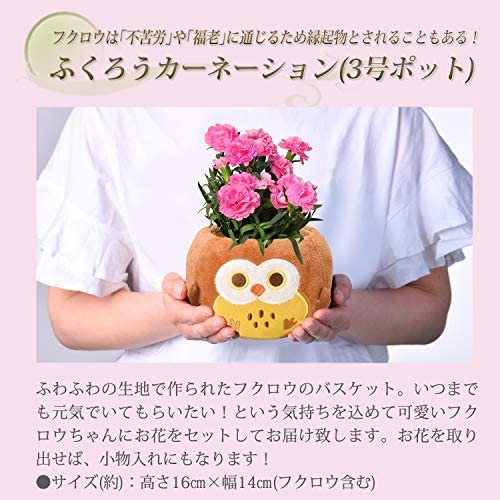 ����� �� ȭ���� �����͡������ �ץ쥼��� ��ȭ ��������ե� ������Υץ쥼���
