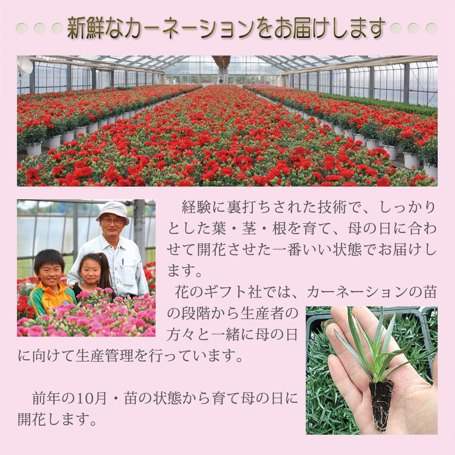 ����� �� ȭ���� �����͡������ �ץ쥼��� ��ȭ ��������ե� ������Υץ쥼���