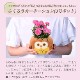 ����� �� ȭ���� �����͡������ �ץ쥼��� ��ȭ ��������ե� ������Υץ쥼���