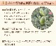 ����� �� ȭ���� �����͡������ �ץ쥼��� ��ȭ ��������ե� ������Υץ쥼���