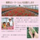 ����� �� ȭ���� �����͡������ �ץ쥼��� ��ȭ ��������ե� ������Υץ쥼���