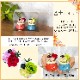 �� �ץ쥼��� ���� �ٻλ� �ﵯʪ �ٻ� �ڥ����å� �ץꥶ �ץꥶ���֥ɥե�