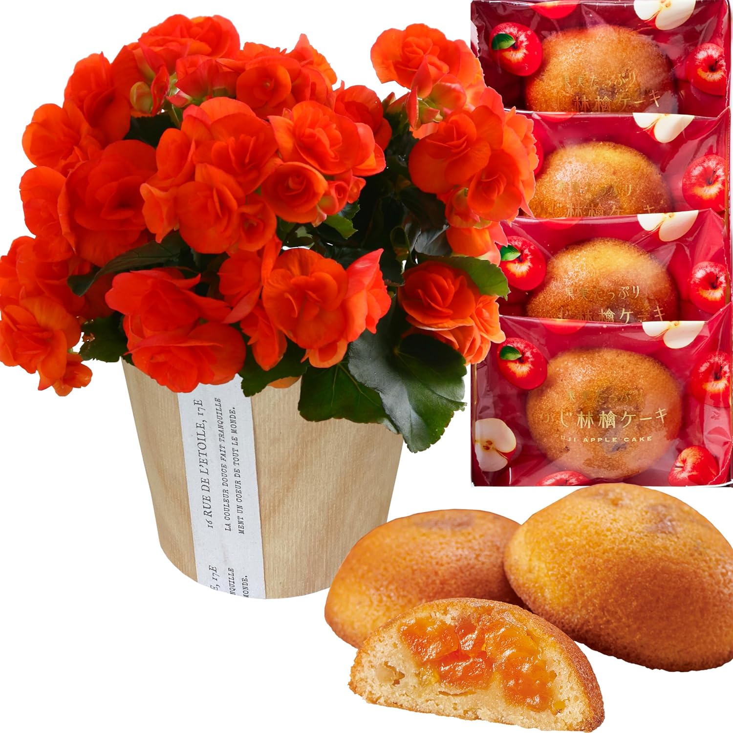 �꡼������ �� ���ե� ������ �ץ쥼��� ȭ���� ȭ�� ���ۻ� �꡼�������٥��˥�