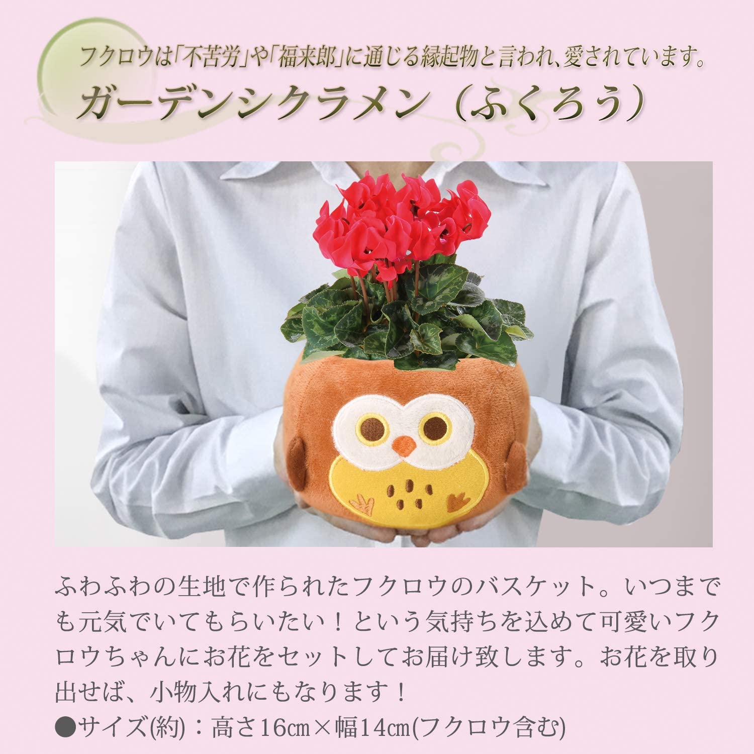 �������� ��������� �ץ쥼��� ���ե� �����ǥ󥷥����� �� ��������ȭ����