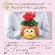 �������� ��������� �ץ쥼��� ���ե� �����ǥ󥷥����� �� ��������ȭ����