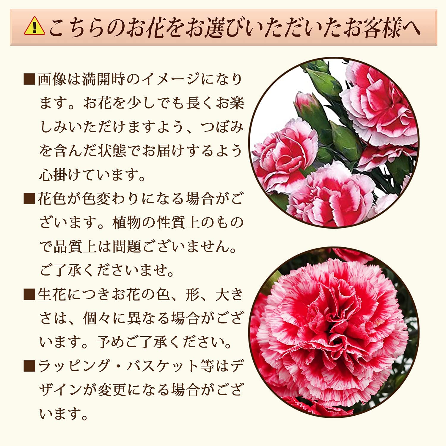 ����� �� ȭ���� �����͡������ �ץ쥼��� ��ȭ ��������ե� �������ۥ��å�