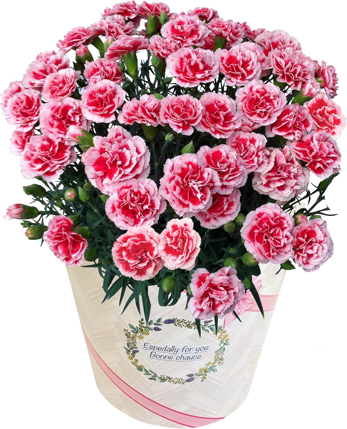 ����� �� ȭ���� �����͡������ �ץ쥼��� ��ȭ ��������ե� �������ۥ��å�