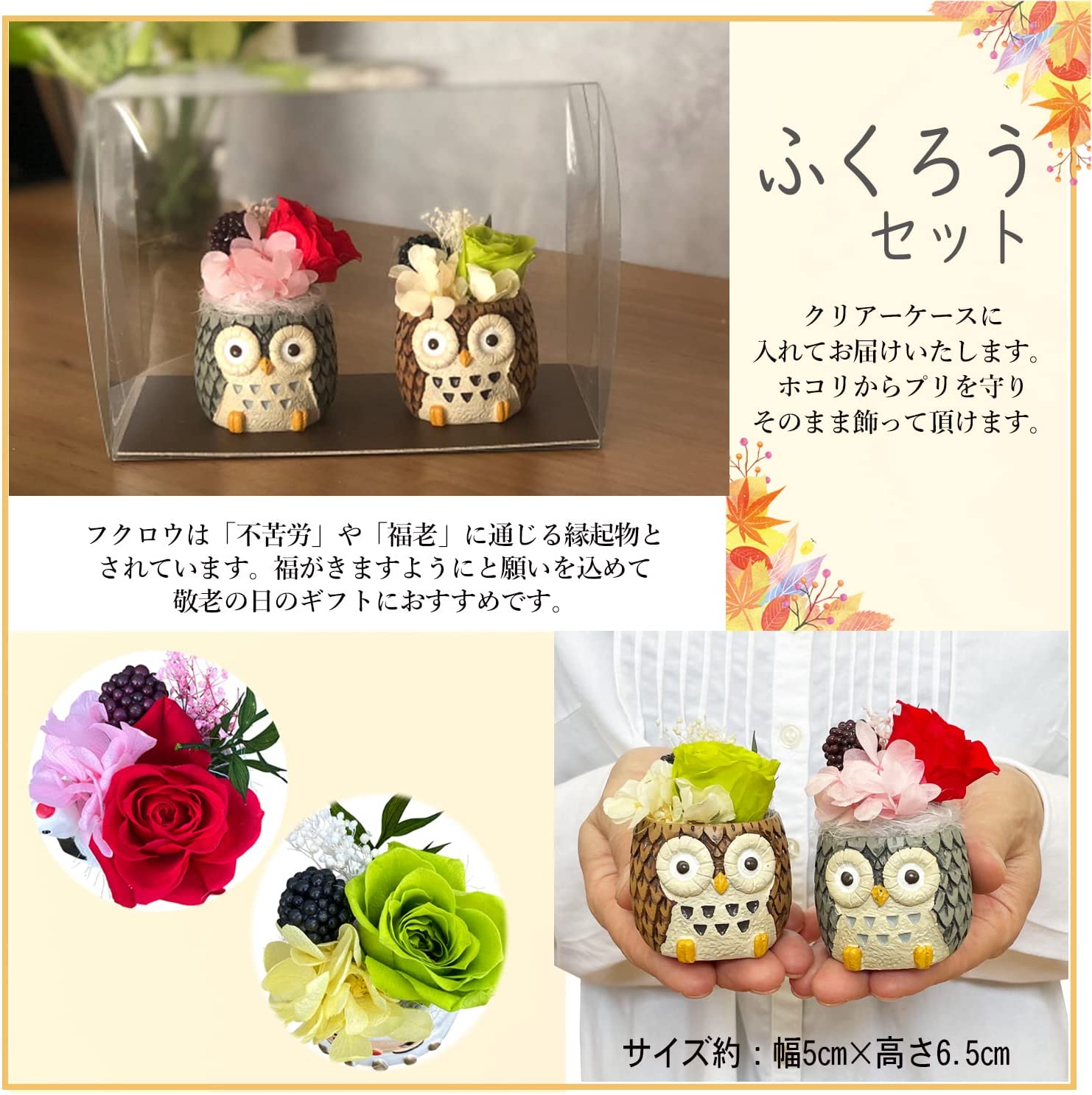 �� �ץ쥼��� ���� �դ����� �ﵯʪ �ڥ����å� �ץꥶ���֥ɥե�