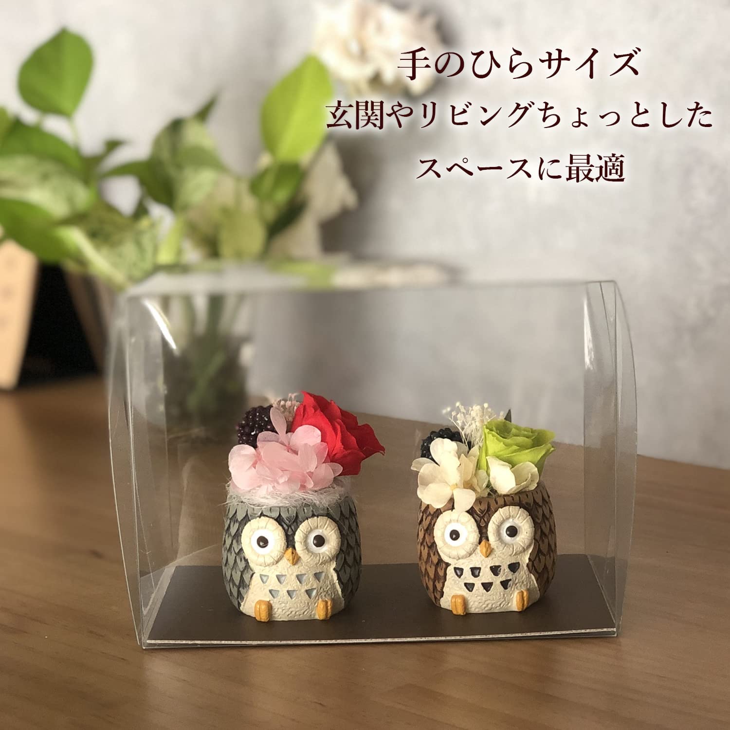 �� �ץ쥼��� ���� �դ����� �ﵯʪ �ڥ����å� �ץꥶ���֥ɥե�